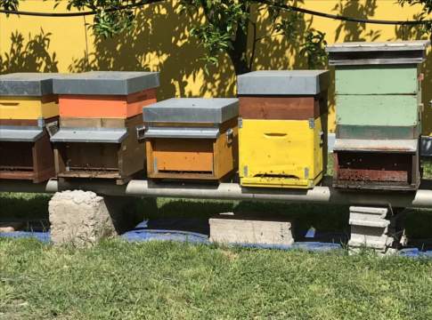 Fai: «Annata apistica peggiore di sempre: alveari e magazzini vuoti» miele