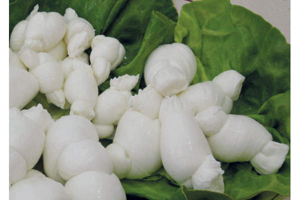 Mozzarella Gioia del Colle Dop