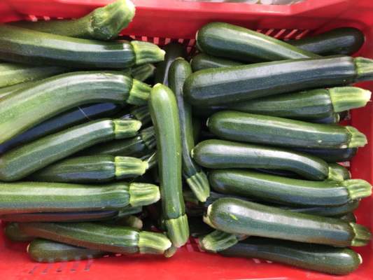 zucchine