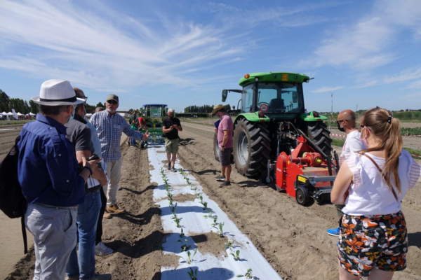 irrigazione di precisione