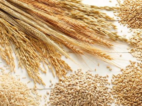 Orzo, apertura con prezzi interessanti orzo