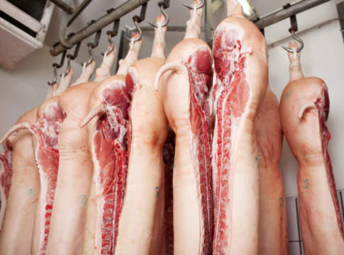 Suini e vino rubano la scena. Bovini e olio evo dietro le quinte suini