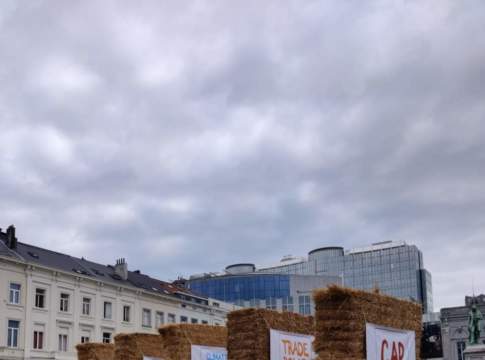 Effetto domino sull’agricoltura europea