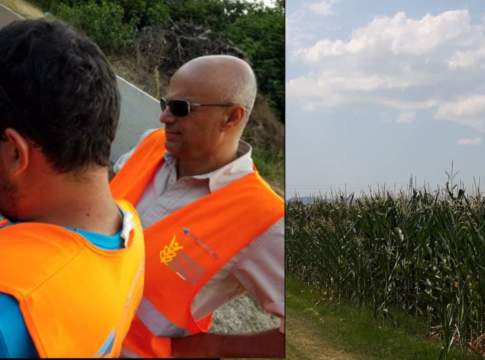 Lotta biologica “volante” contro la piralide