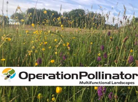 Syngenta e Padana Sementi insieme per la biodiversità del suolo