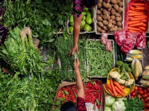 Corteva Agriscience e Symborg, accordo sulla tecnologia per la fissazione dell’azoto