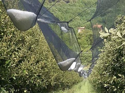 Grandine, bombe d’acqua, siccità e incendi: milioni di danni nelle campagne grandine