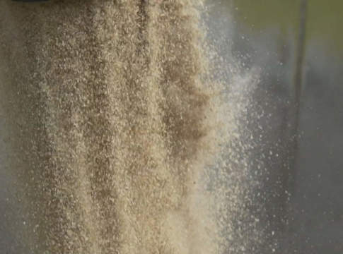 Solo segni più nei listini dei cereali foraggeri cereali foraggeri