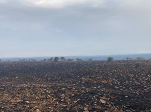 Incendi in Sardegna, danni ingenti anche all’agricoltura incendi