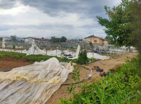 Grandine e vento, campagne del Nord flagellate dal maltempo grandine