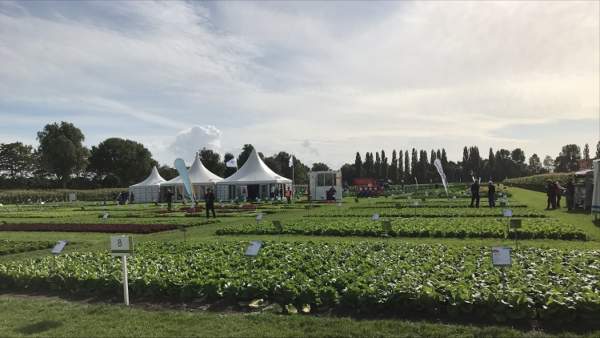 Fields of Innovation Syngenta 2021