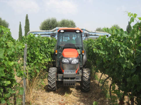 vigneto attrezzature