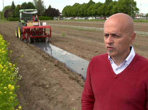 Il pomodoro da industria è più sostenibile con i teli in Mater-Bi