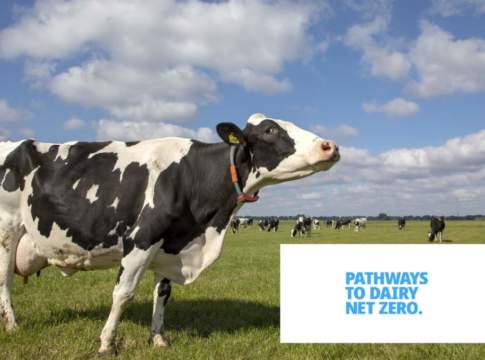 Verso la neutralità climatica della filiera del latte