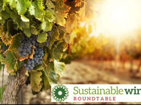 Verso un unico standard internazionale di sostenibilità del vino
