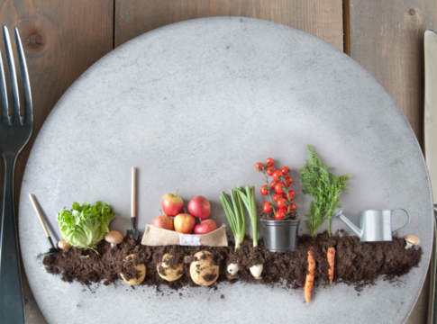 Farm to Fork, ok dall’EuroParlamento