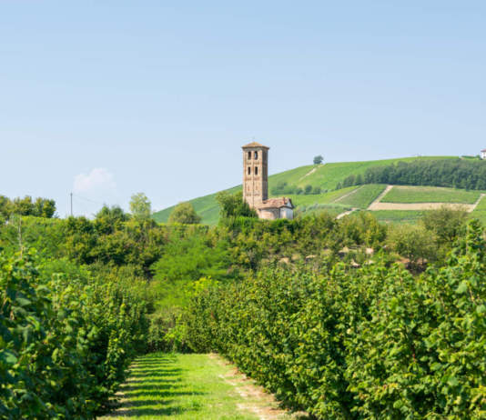 Piemonte, un milione per la biodiversità agricola: finanziati 21 progetti