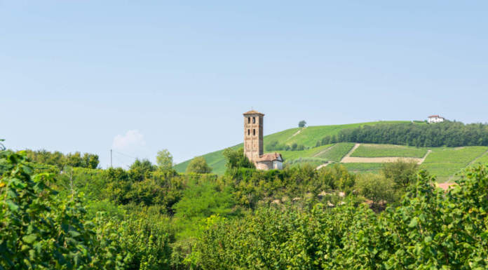 Piemonte, un milione per la biodiversità agricola: finanziati 21 progetti
