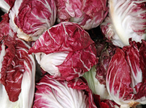radicchio