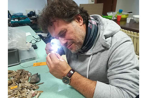 La più antica uva della Valpolicella ha 6.300 anni Umberto Tecchiati