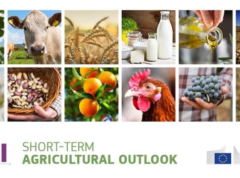 È il comparto zootecnico a soffrire di più per l’impennata dei costi