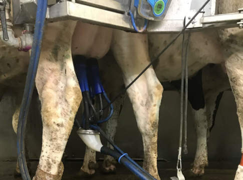 La Plf a supporto dell’asciutta selettiva