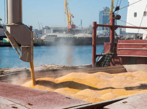 Ucraina, a rischio oltre un quarto del grano e un sesto del mais Ucraina