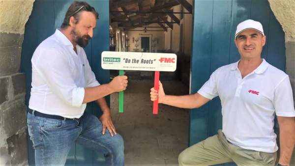 progetto on the roots