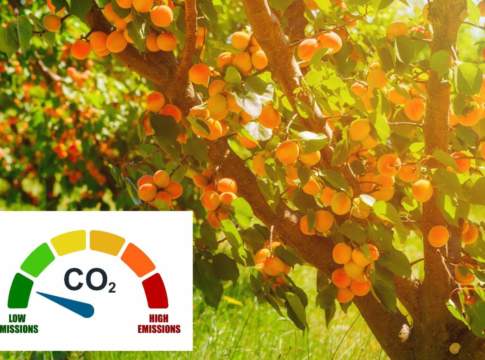 Neutralità climatica, il contributo decisivo dei giovani frutticoltori
