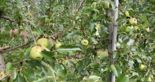 gestione del rischio