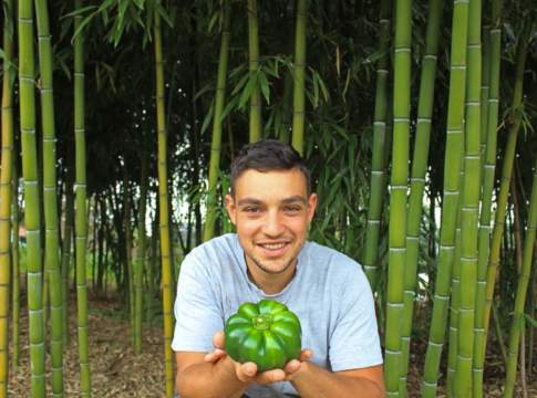 Fonte Antica, ma tecnologia moderna