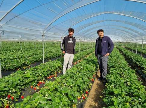 Paladini della gestione conservativa delle orticole