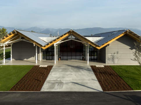 vivaismo viticolo sostenibile