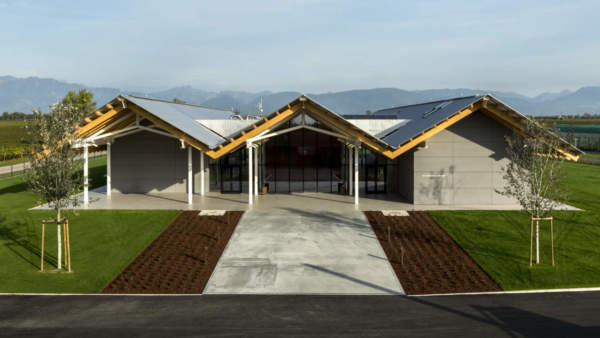 vivaismo viticolo sostenibile