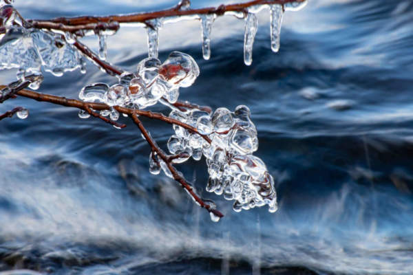 abyss fisioattivatore sipcam