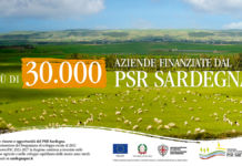psr sardegna