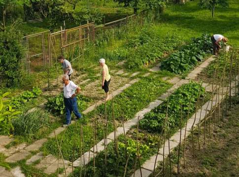Agricoltura sociale, al via il bando nazionale da 140 mila euro