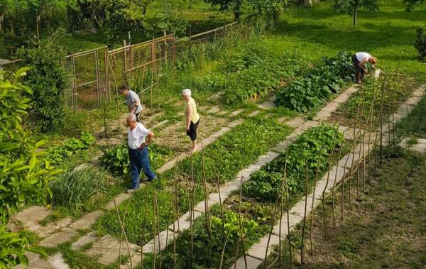 Agricoltura sociale, al via il bando nazionale da 140 mila euro
