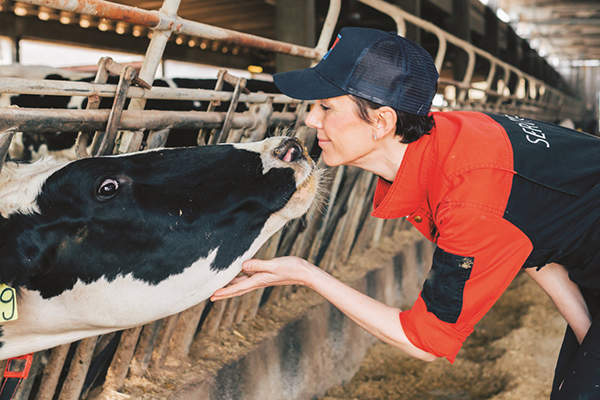 tutela degli animali in costituzione