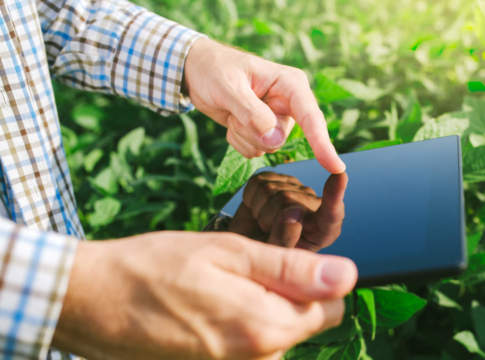 Syngenta lancia l’app Cropwise Syngenta Cropwise