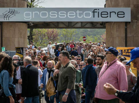 fiera del madonnino 2022