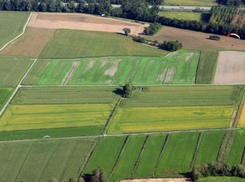 Biologico e misure Aca, in Lombardia quasi 60 milioni in due bandi biologico