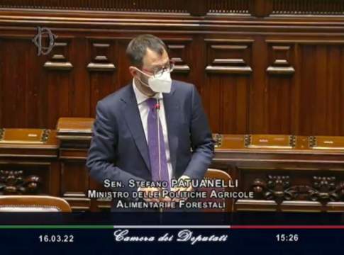 Modifica Pac, Patuanelli verso l’incontro decisivo