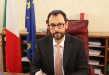 Rinnovabili, Patuanelli sblocca la partita dell’Agrisolare