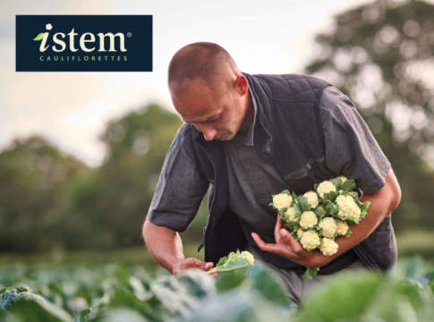 Istem, cavolfiore Syngenta “tutto da mangiare” cavolfiore istem