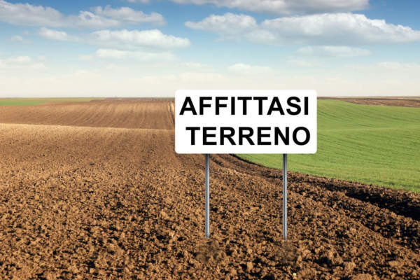 affitto