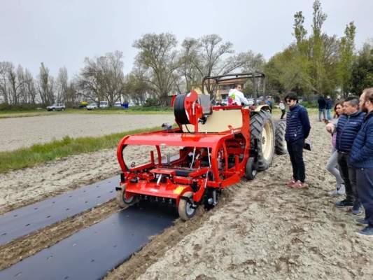 pacciamatura prova in campo comacchio