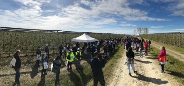 gestione del rischio