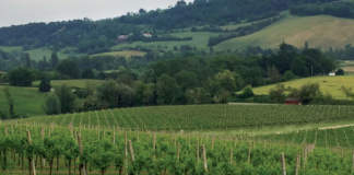 Un premio per i paesaggi rurali e storici paesaggi rurali