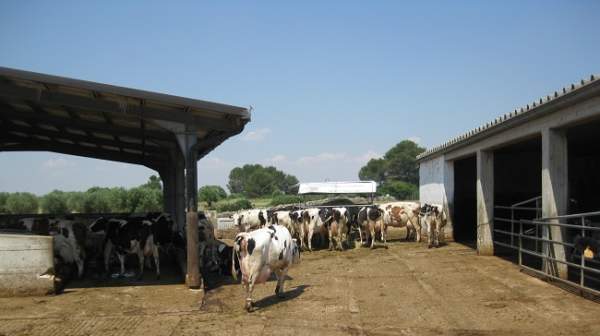 primo insediamento 2022